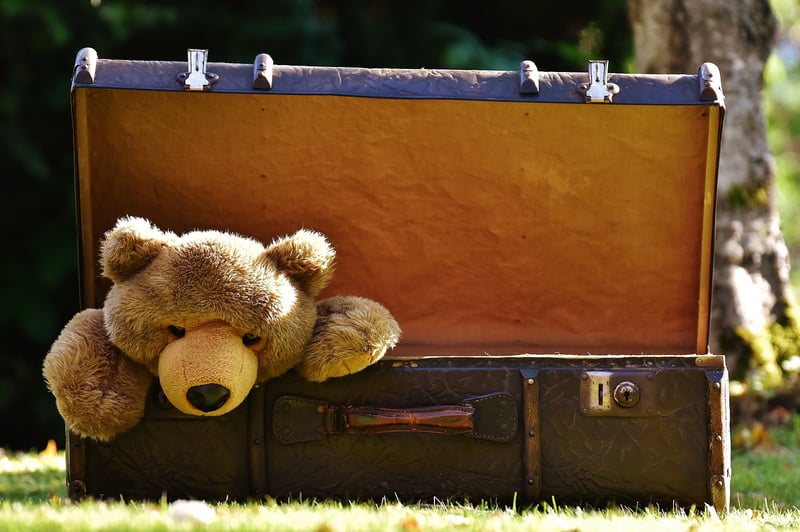 Suitcase Travel Luggage